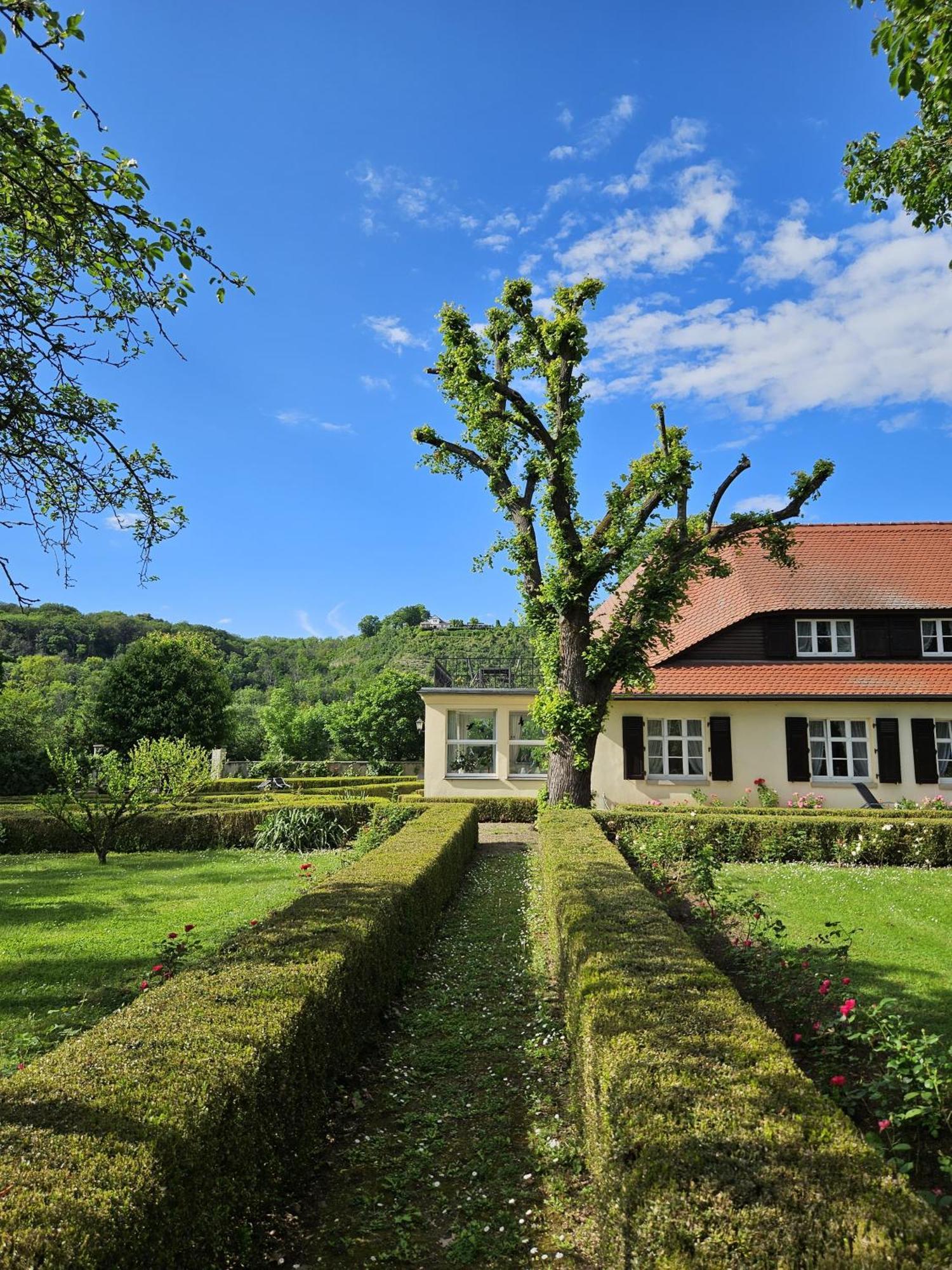 Landhaus Saaleck Apartment Naumburg  Exterior photo